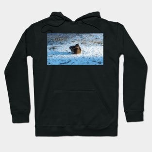 Duck Resting On The Snow Hoodie